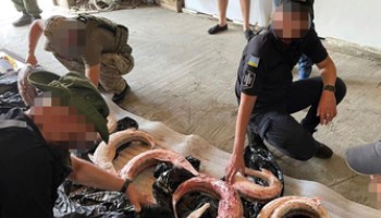Ukraine Arrests Bureaucrats Facilitating Illegal Fishing on the Danube