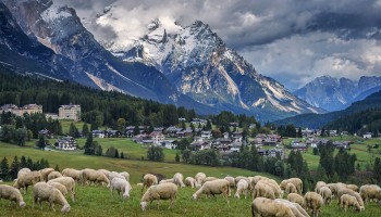 Italian Police Targets EU Fund Fraud, Seize Millions in Transhumance Scam
