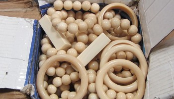 Nine Tonnes of Ivory Seized in Vietnam, World’s Largest Haul