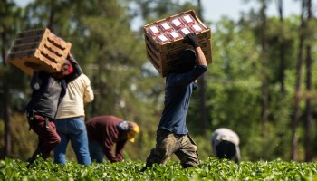 Spanish Police Arrest 23 in Crackdown on Modern Slavery