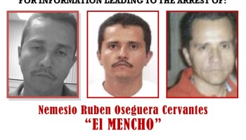 US Arrests Over 600 Suspected Members of Mexican Cartel