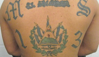 US Convicts MS-13 Members of Drug Trafficking, Racketeering