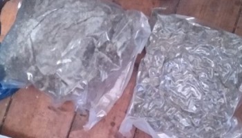 Police in Bosnia and Herzegovina Arrest 19 Suspected Gang Members