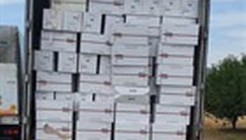 Montenegrin Police Bust Cigarette Smuggling Ring