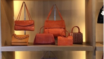US Sentences Colombian Designer for Smuggling Bags made of Skin of Protected Species