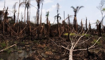 Nigeria: Military Destroys 40 Illegal Oil Refineries