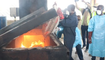 Wildlife Protection: Nigeria Burns Illegal Wildlife Products in Landmark Action