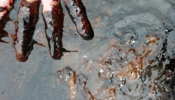 Nigerian Authorities Crack Down on Illegal Refining Sites