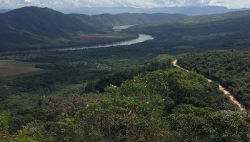 Peru Restores Autonomy of Agency Fighting Illegal Logging