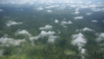 Amnesty International Urges Cambodia to Stop Harassing Activists 