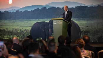 Seven Countries To Fight Wildlife Trafficking Together