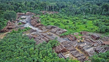Organized Crime and Corruption: a “Cause and Consequence” of Climate Change
