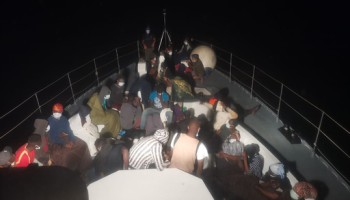 Global Interpol-Led Anti-Trafficking Operation Arrests 286
