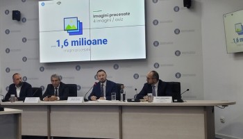 Romania Admits to Flaws in Timber Tracing System