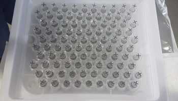 Interpol: More Fake COVID-19 Vaccines Seized