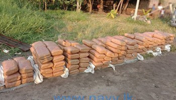 Sri Lankan Navy Seizes Cannabis Coming from India