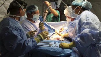 UNODC Launch Manual to Tackle Underreported Crime of Organ Trade