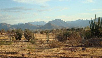 Mexico: Burnt Remains of Kidnapped Journalist Found