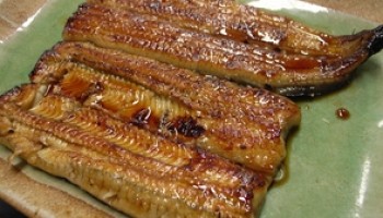 Japan to Raise Fines for Eel Poaching