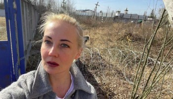 Russia Detains Supporters of Hunger-Striking Alexei Navalny