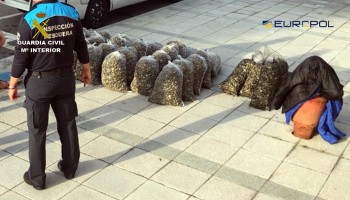 Spanish Police Take Down Clam Gang