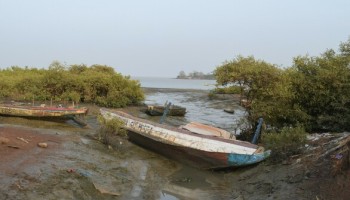 Guinea-Bissau: State Institutions Hijacked by Cocaine Cartels