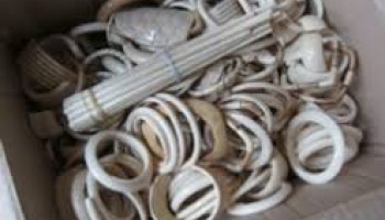 Ivory Trade Investigator Stabbed to Death in Nairobi Home