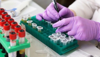 Greek Scientist Accused of Embezzling EU Research Funds