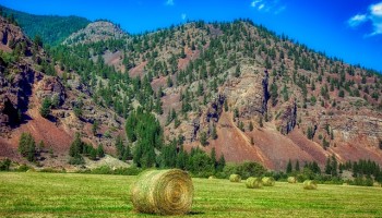 Montana Man Admits to $43 Million in Cross-Border Fraud