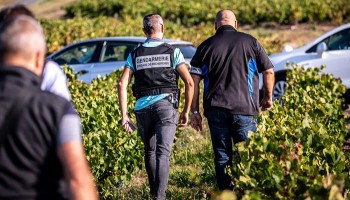 Police Uncover Labor Trafficking in French Vineyards
