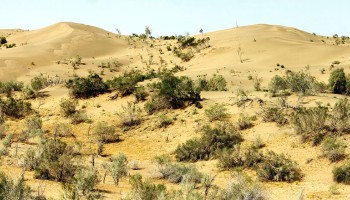 No COVID-19 in Turkmenistan, but Officials Moved to Resort 