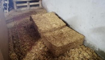 Spanish and Portuguese Authorities Shut Down Illegal Tobacco Operation 