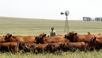 How the Guptas Milked South Africa for Diamonds