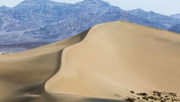 Hashish and Hatred: The Desert Conflict in Western Sahara