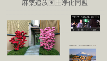  Japan: Organized Crime Syndicate Yakuza Launches Personal Website