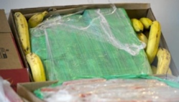 Colombia: Farmers' Complaints Show Gang's Drug Export Tactics