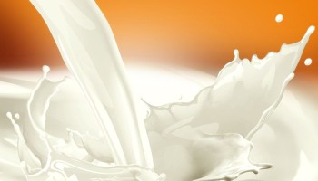 Bulgarian Entrepreneur Charged with Fraud to Obtain EU Funds for Dairy Facility