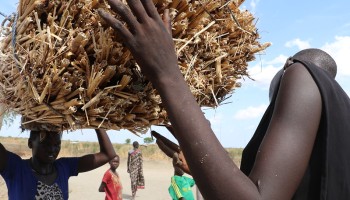 Interpol Launches Initiative to Fight Sexual Abuse by Aid Workers