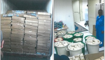 Middle East/North African Authorities Seize Fake Medical Products 