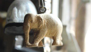 US Authorities Arrest Ivory and Rhino Horn Smugglers