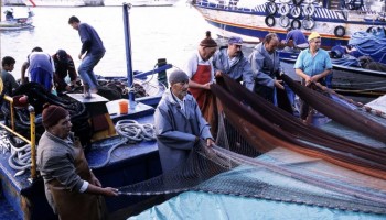 Shark Fishing’s Threat to the Mediterranean