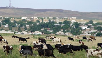 Kazakhstan: Agriculture Official Sentenced to 10 Years for Taking Bribes