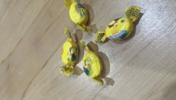Meth-Laced Lollies Accidentally Given to Auckland’s Homeless