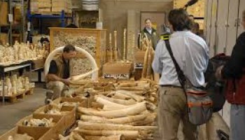 Prominent Anti-poaching Conservationist Killed in Tanzania