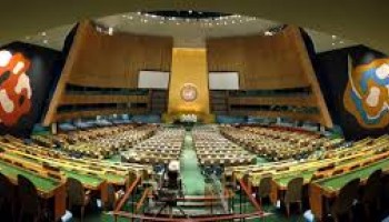 UN Adopts New Resolution on Tackling Illicit Trafficking in Wildlife 