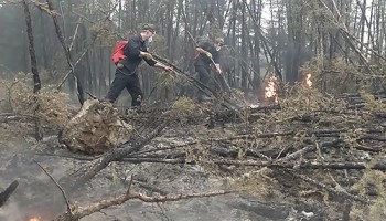 Ущерб от преступлений экс-главы департамента Минобороны России и бывшего министра экологии Подмосковья оценили в 2,7 млрд рублей 