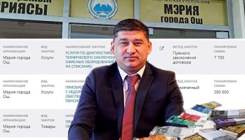 «Т-Медиа»: вице-мэр Оша незаконно выиграл тендеры на более чем 30 миллионов сомов