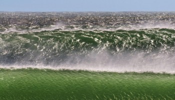 A Fishy Business: Shifting Profits Out of Africa