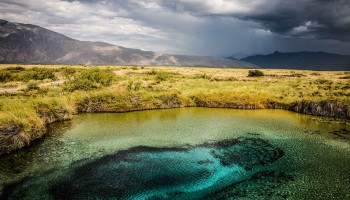 Mexico’s Dairy Industry Is Destroying An Oasis That May Hold the Key to the Origins of Life