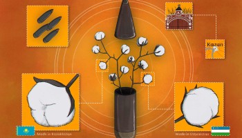 Central Asian Cotton Powers Russia’s Sanctioned Gunpowder Plants